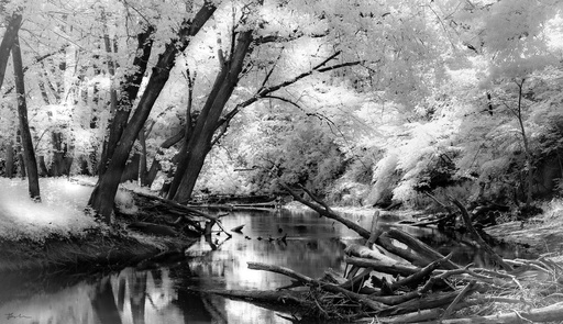 [Wandering Waters] Wandering Waters